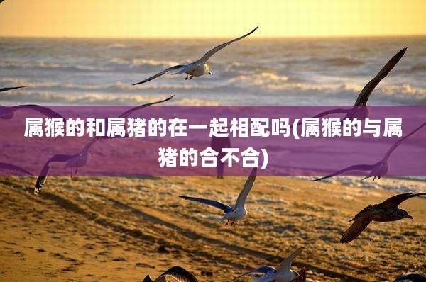属猴的和属猪的在一起相配吗(属猴的与属猪的合不合)
