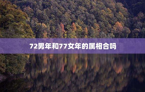 72男年和77女年的属相合吗