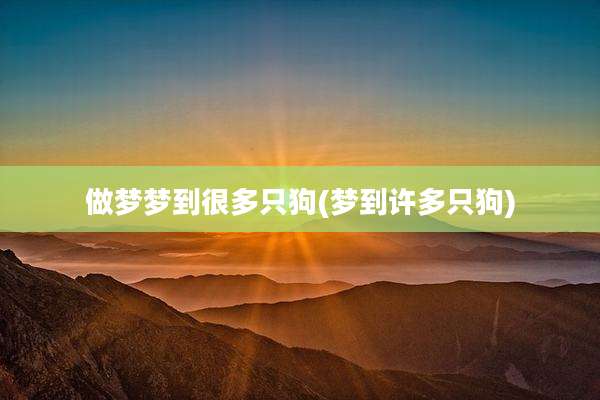 做梦梦到很多只狗(梦到许多只狗)