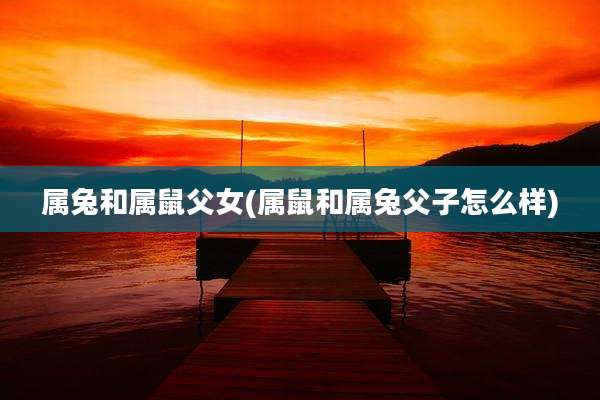 属兔和属鼠父女(属鼠和属兔父子怎么样)