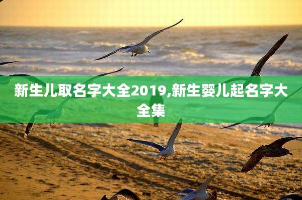 新生儿取名字大全2019,新生婴儿起名字大全集