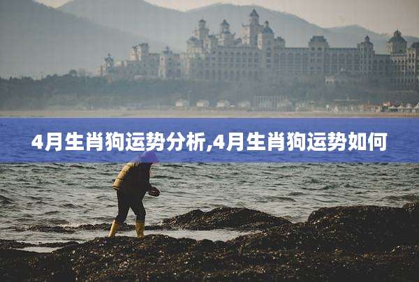 4月生肖狗运势分析,4月生肖狗运势如何