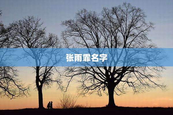 张雨霏名字