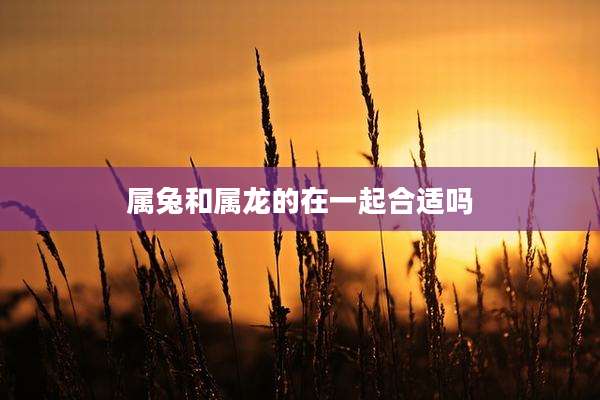 属兔和属龙的在一起合适吗