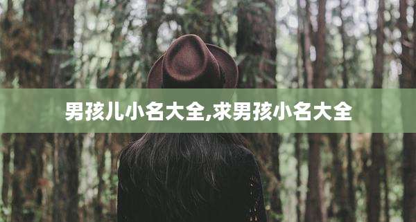 男孩儿小名大全,求男孩小名大全