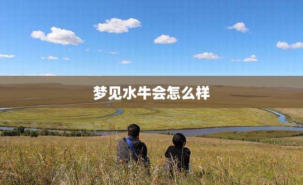 梦见水牛会怎么样