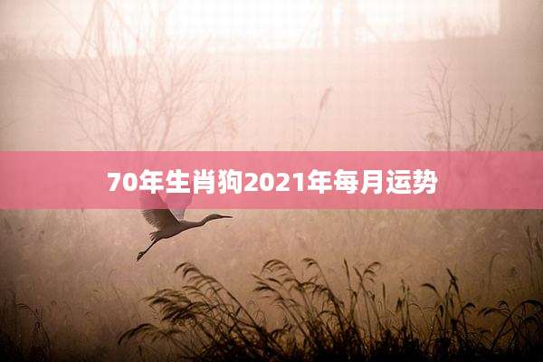 70年生肖狗2021年每月运势