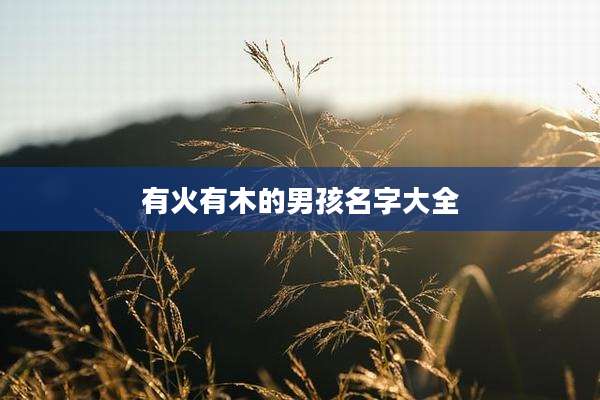 有火有木的男孩名字大全