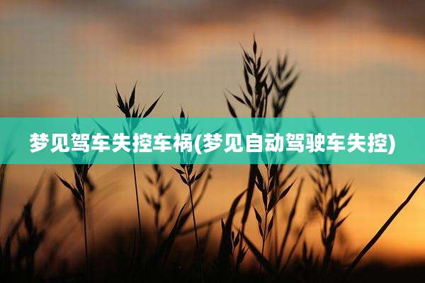 梦见驾车失控车祸(梦见自动驾驶车失控)