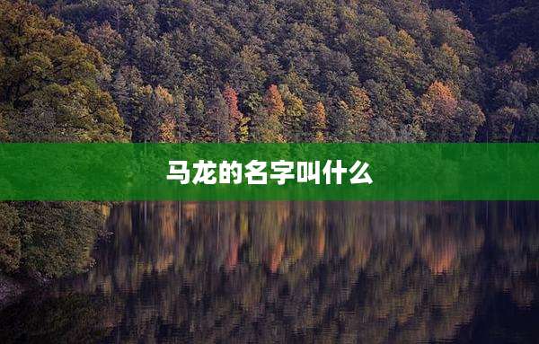 马龙的名字叫什么