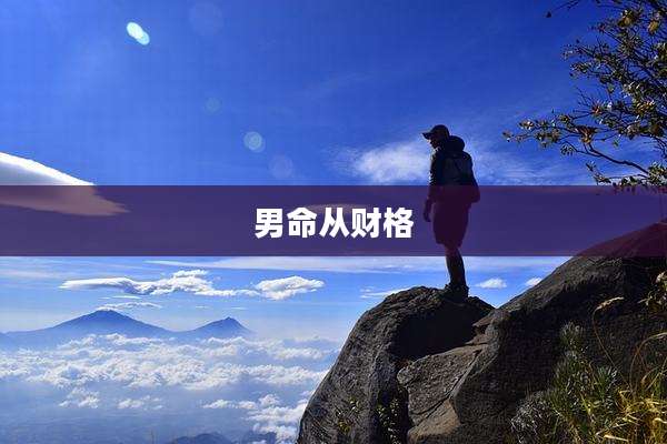男命从财格