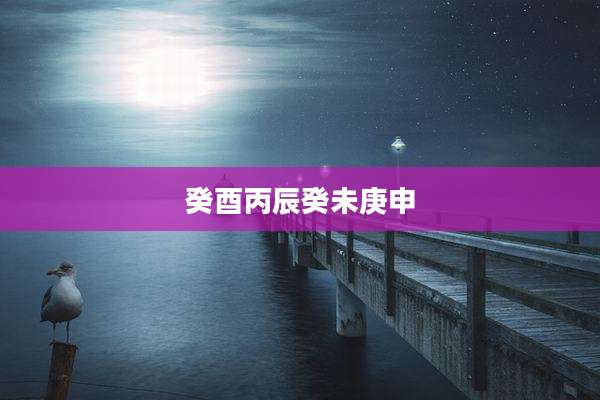 癸酉丙辰癸未庚申
