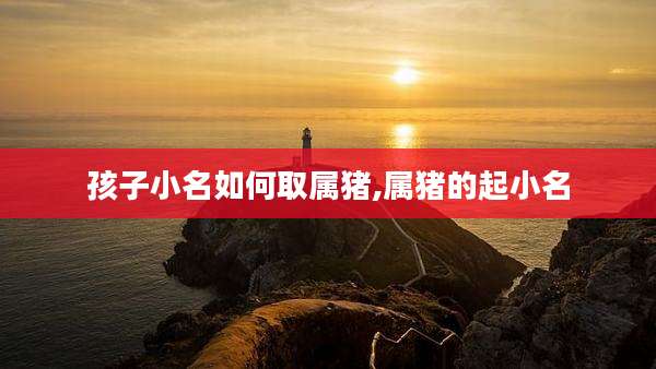 孩子小名如何取属猪,属猪的起小名