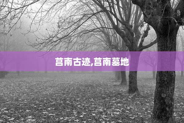 莒南古迹,莒南墓地