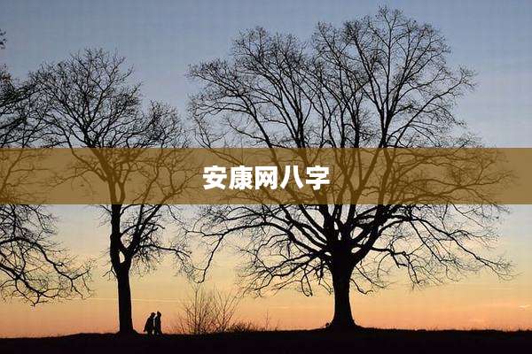安康网八字