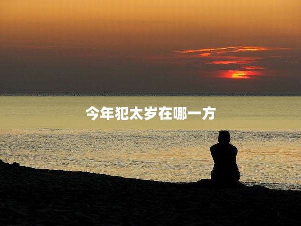 今年犯太岁在哪一方