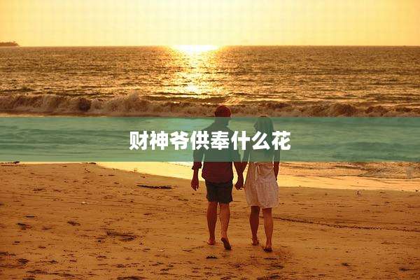 财神爷供奉什么花