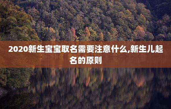 2020新生宝宝取名需要注意什么,新生儿起名的原则