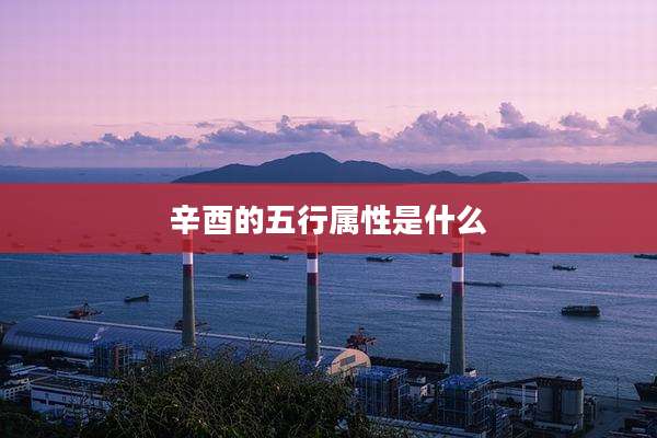 辛酉的五行属性是什么