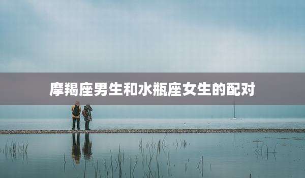 摩羯座男生和水瓶座女生的配对
