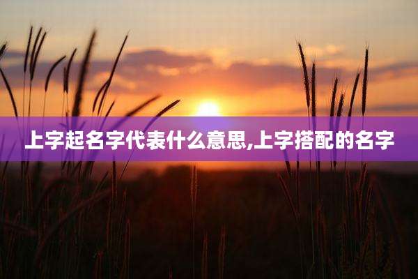 上字起名字代表什么意思,上字搭配的名字