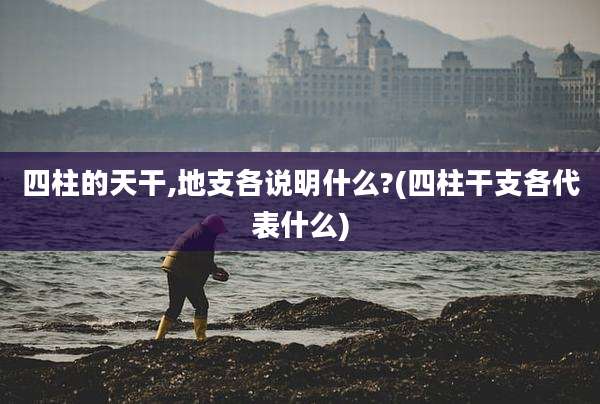 四柱的天干,地支各说明什么?(四柱干支各代表什么)