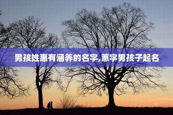 男孩姓惠有涵养的名字,蕙字男孩子起名