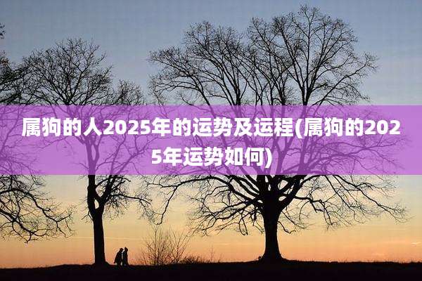 属狗的人2025年的运势及运程(属狗的2025年运势如何)