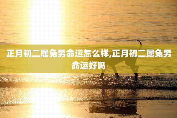 正月初二属兔男命运怎么样,正月初二属兔男命运好吗