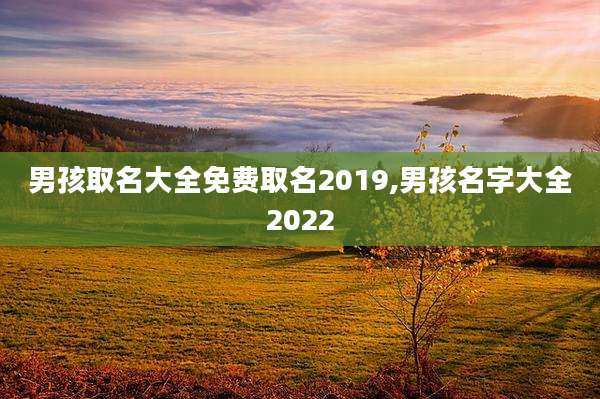 男孩取名大全免费取名2019,男孩名字大全2022