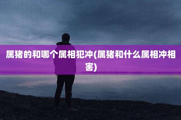 属猪的和哪个属相犯冲(属猪和什么属相冲相害)