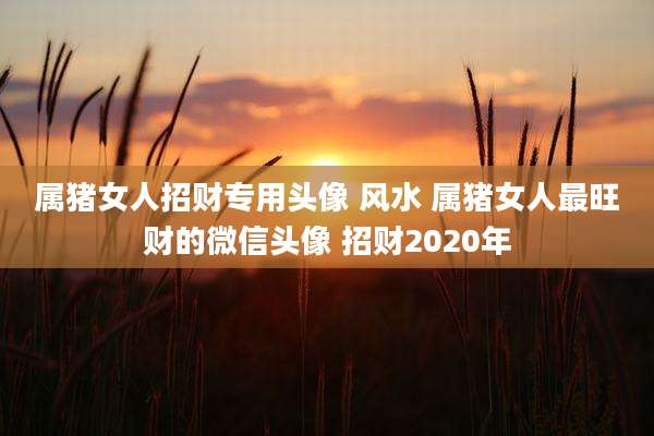 属猪女人招财专用头像 风水 属猪女人最旺财的微信头像 招财2020年