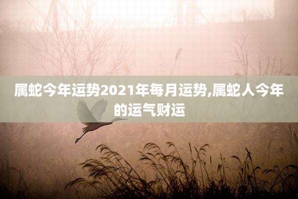 属蛇今年运势2021年每月运势,属蛇人今年的运气财运