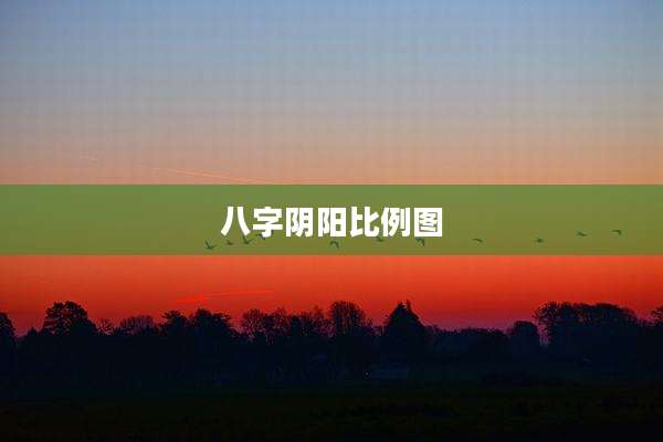 八字阴阳比例图