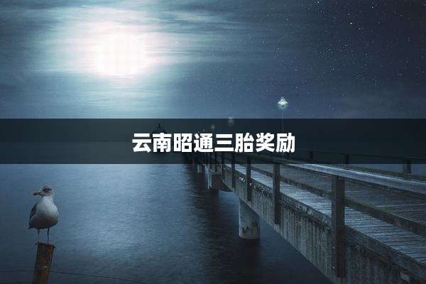 云南昭通三胎奖励