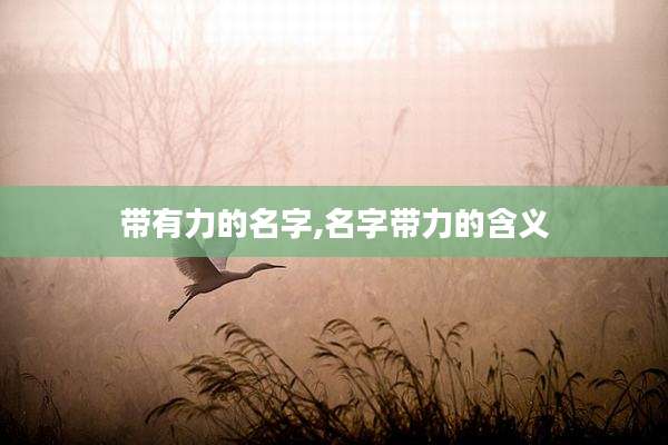 带有力的名字,名字带力的含义