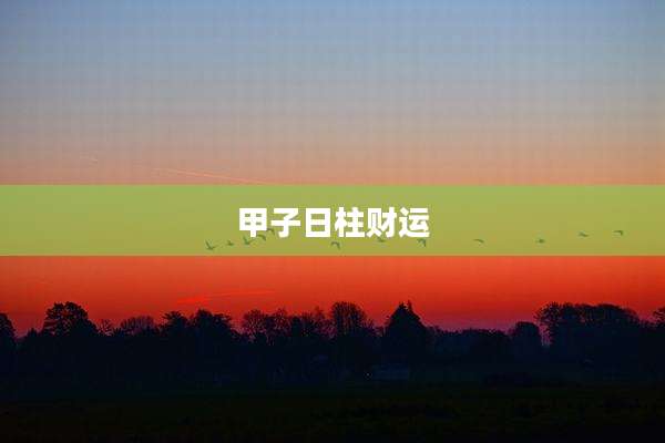 甲子日柱财运