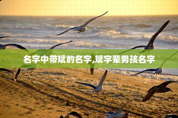 名字中带斌的名字,斌字辈男孩名字