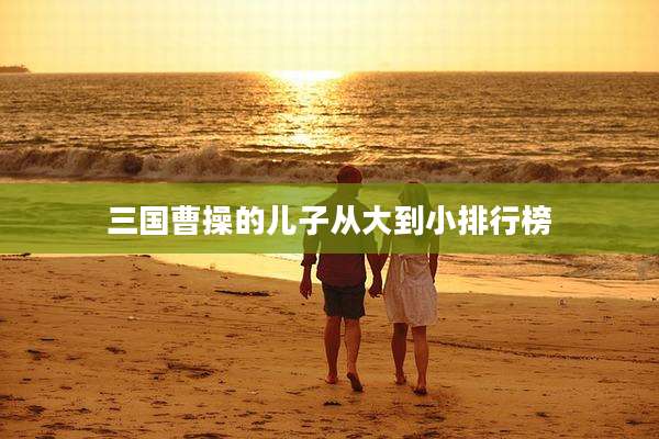 三国曹操的儿子从大到小排行榜