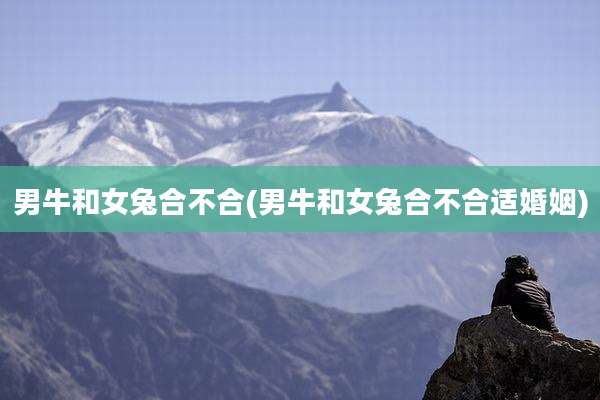 男牛和女兔合不合(男牛和女兔合不合适婚姻)