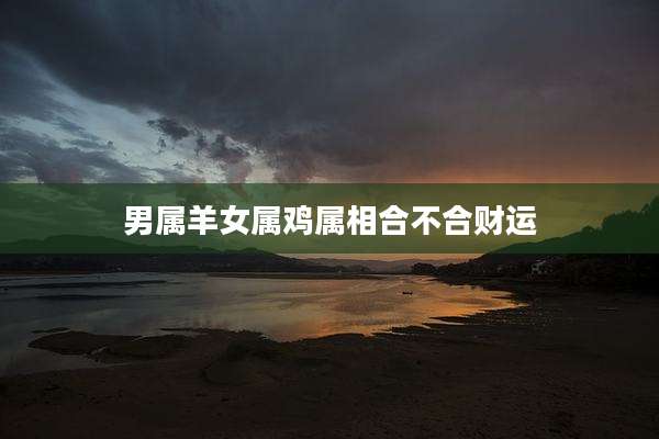 男属羊女属鸡属相合不合财运