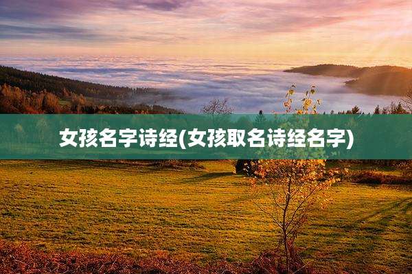 女孩名字诗经(女孩取名诗经名字)
