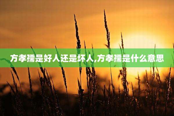 方孝孺是好人还是坏人,方孝孺是什么意思