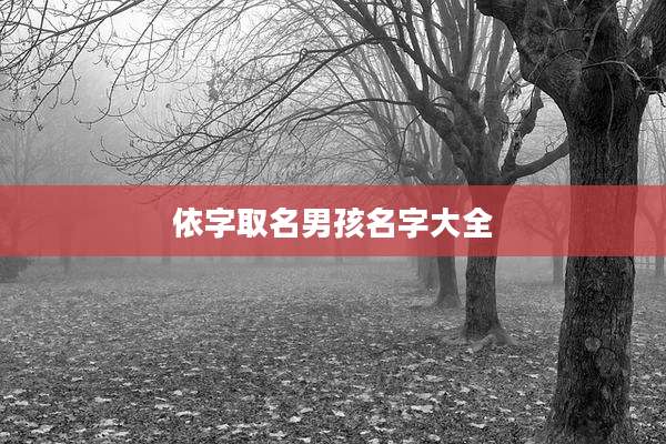 依字取名男孩名字大全
