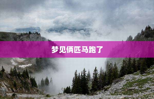 梦见俩匹马跑了