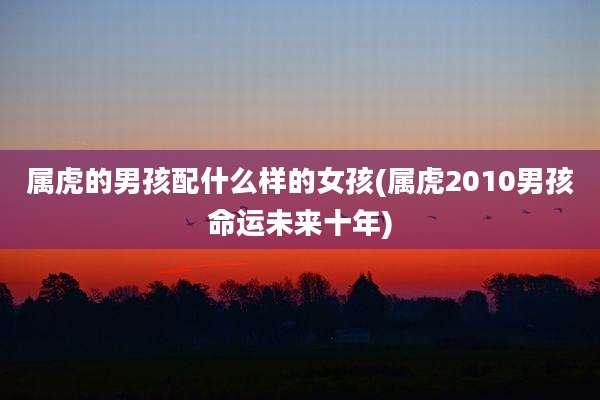 属虎的男孩配什么样的女孩(属虎2010男孩命运未来十年)