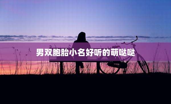 男双胞胎小名好听的萌哒哒