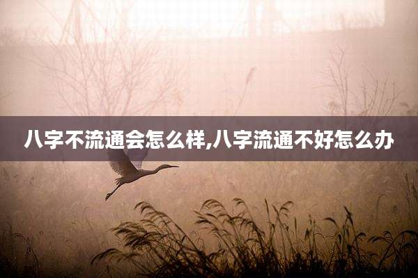 八字不流通会怎么样,八字流通不好怎么办