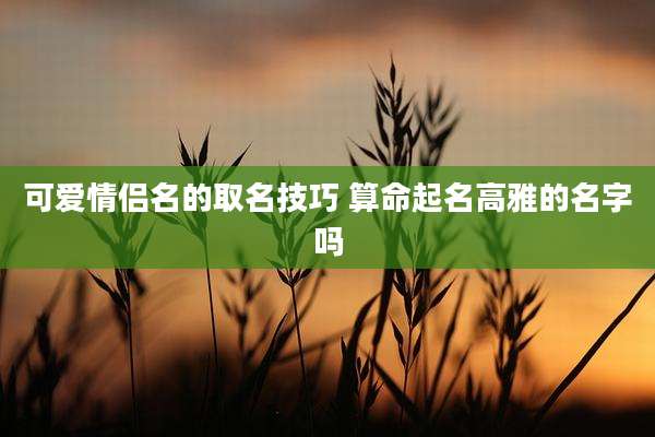 可爱情侣名的取名技巧 算命起名高雅的名字吗