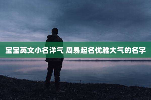 宝宝英文小名洋气 周易起名优雅大气的名字